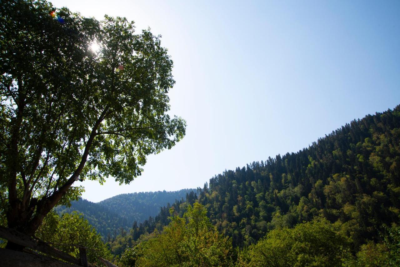 Landhaus Borjomi Exteriör bild