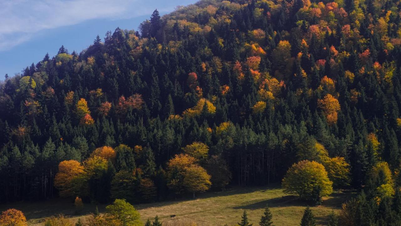 Landhaus Borjomi Exteriör bild