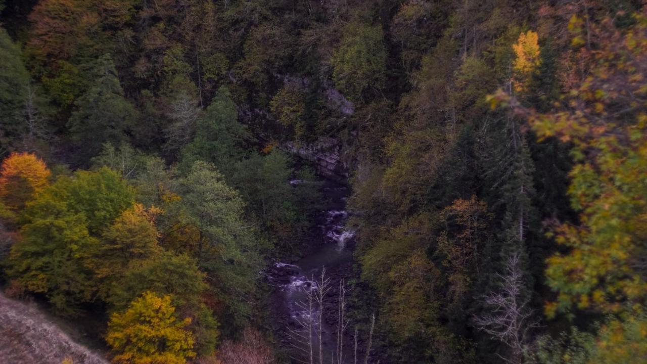 Landhaus Borjomi Exteriör bild