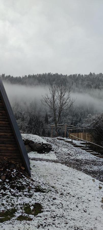 Landhaus Borjomi Exteriör bild