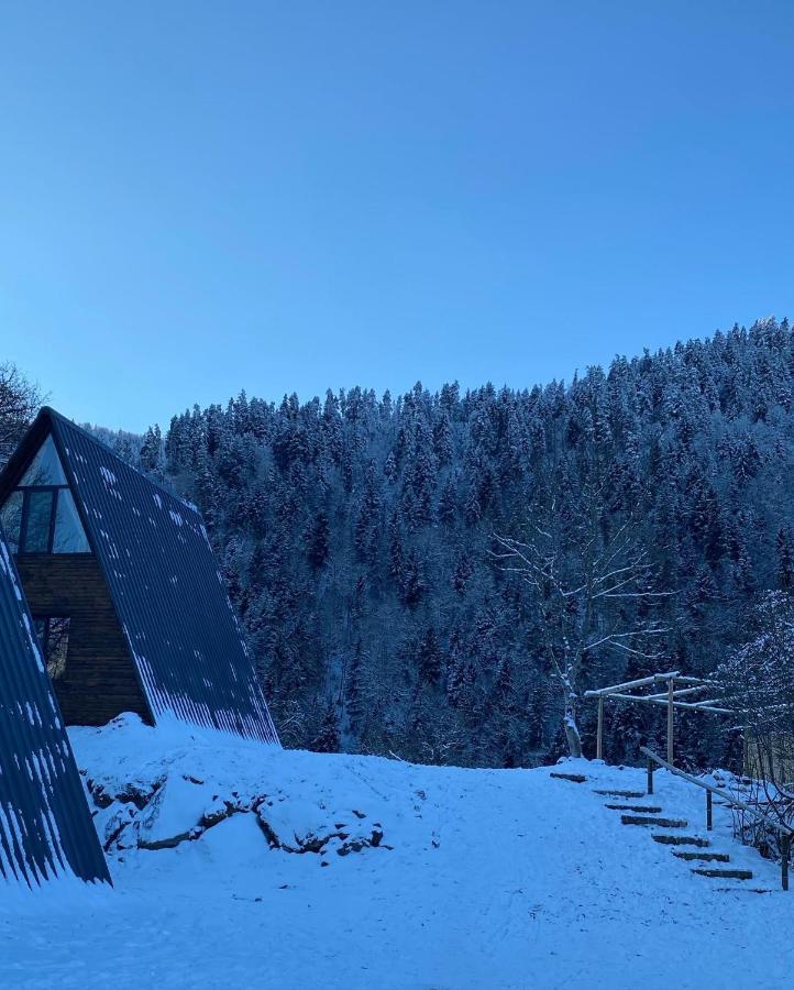 Landhaus Borjomi Exteriör bild