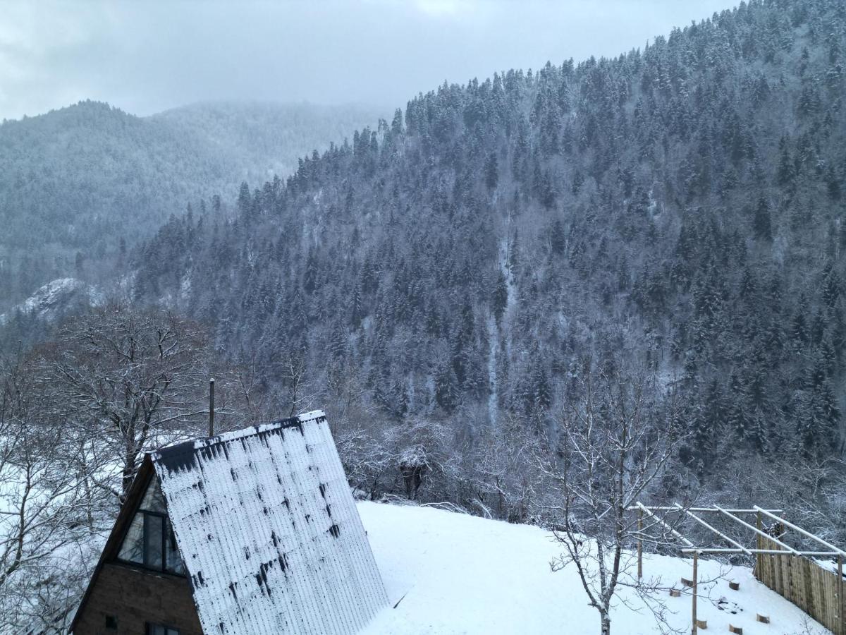 Landhaus Borjomi Exteriör bild