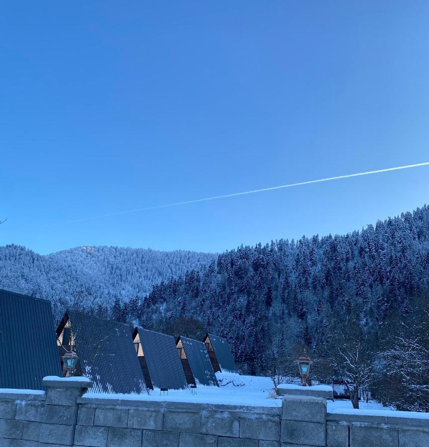 Landhaus Borjomi Exteriör bild