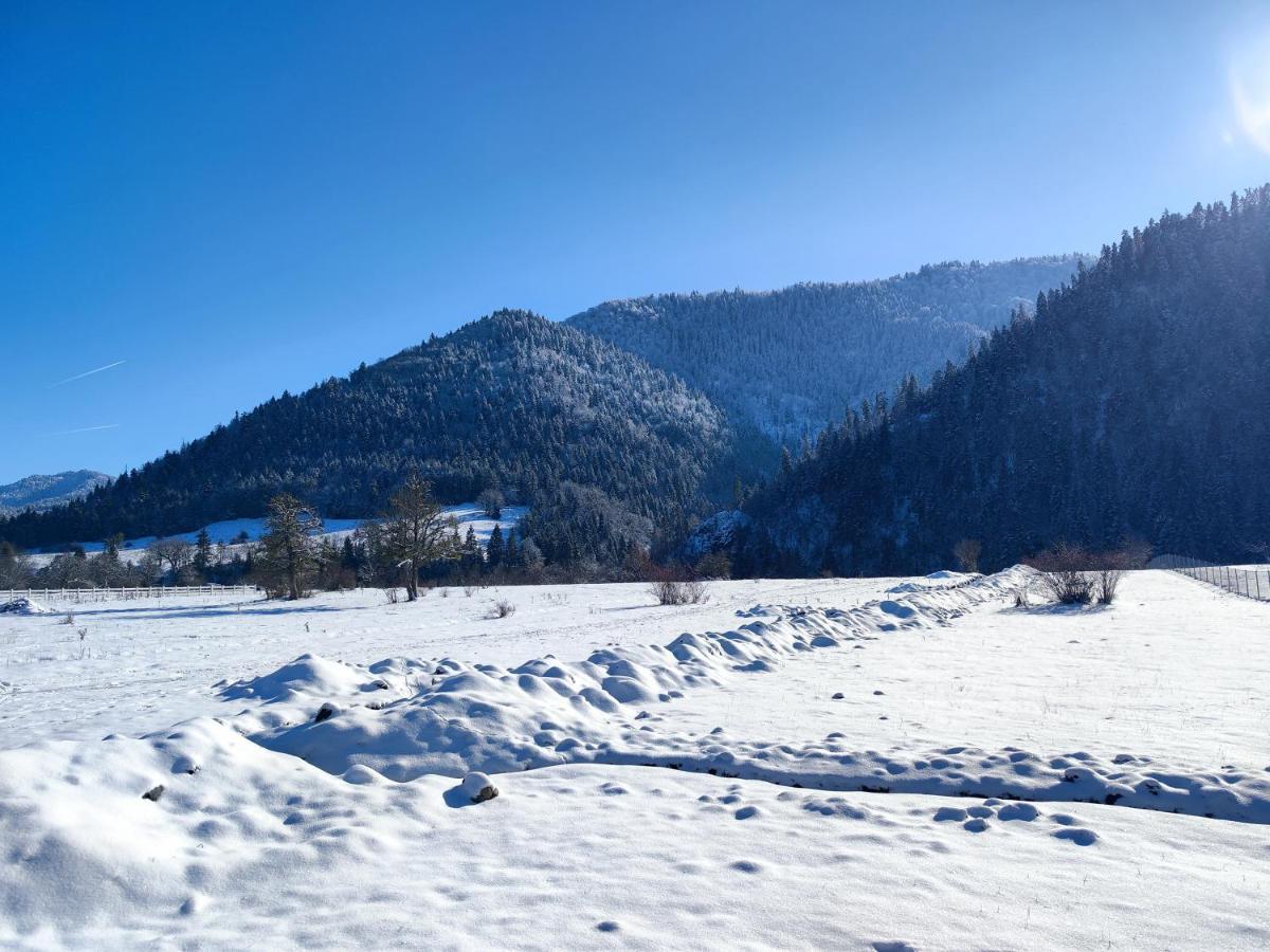 Landhaus Borjomi Exteriör bild