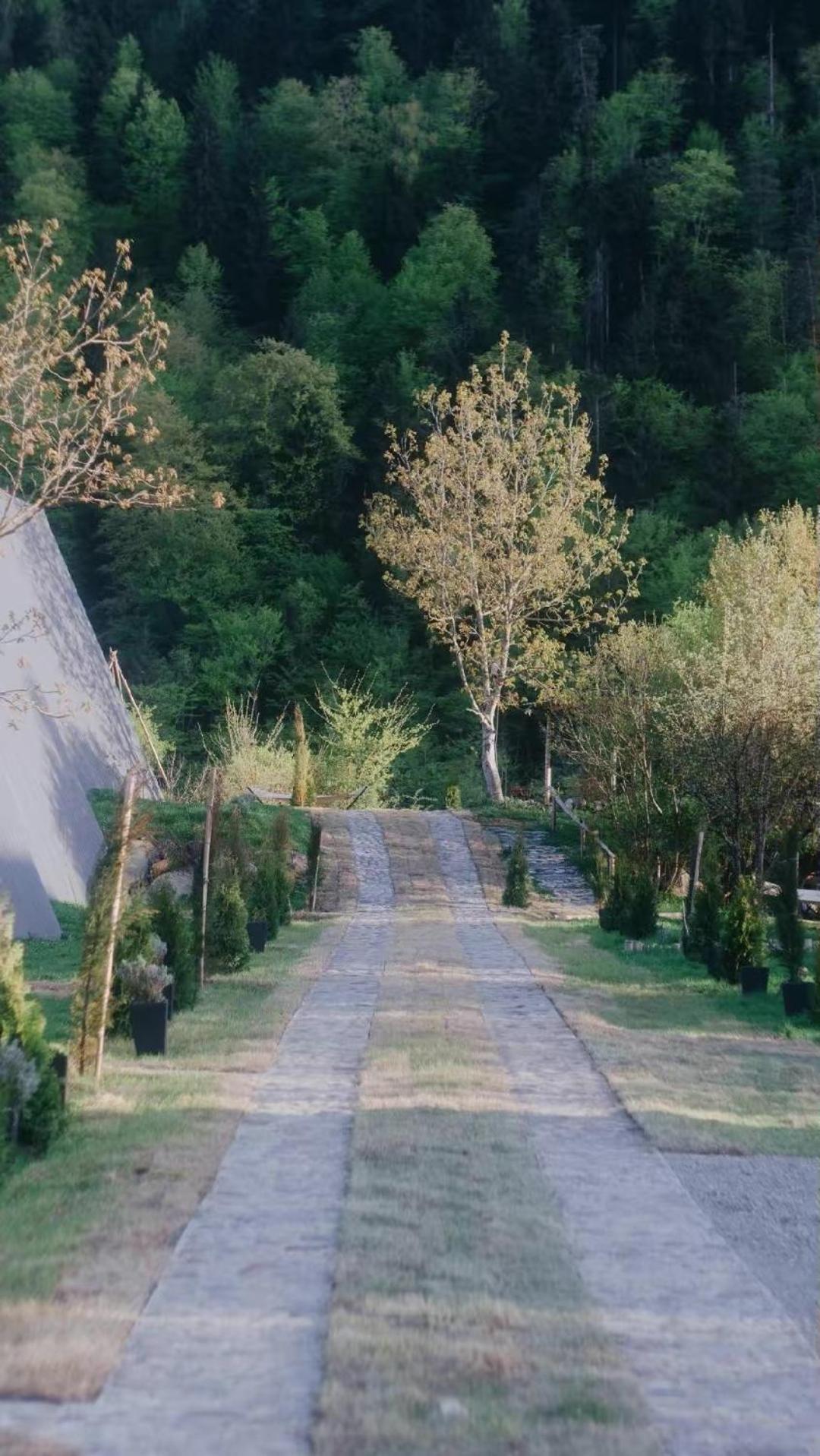 Landhaus Borjomi Exteriör bild